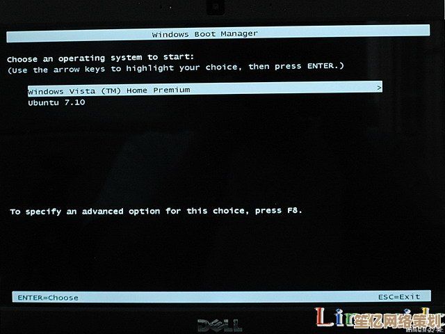 Windows 11双系统：双重启动带来更灵活高效的操作体验