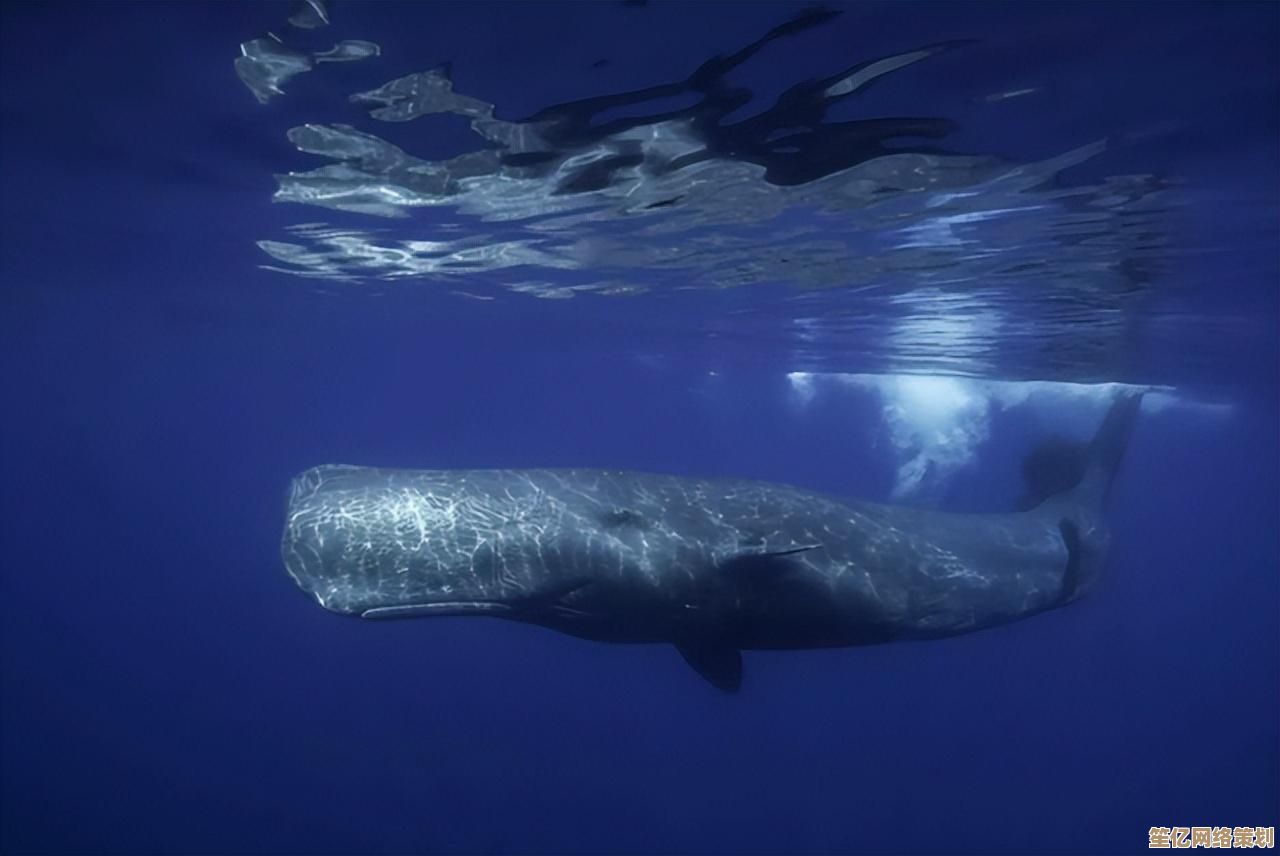未来装备登场！死亡搁浅2利用反重力运输器跨越复杂河道