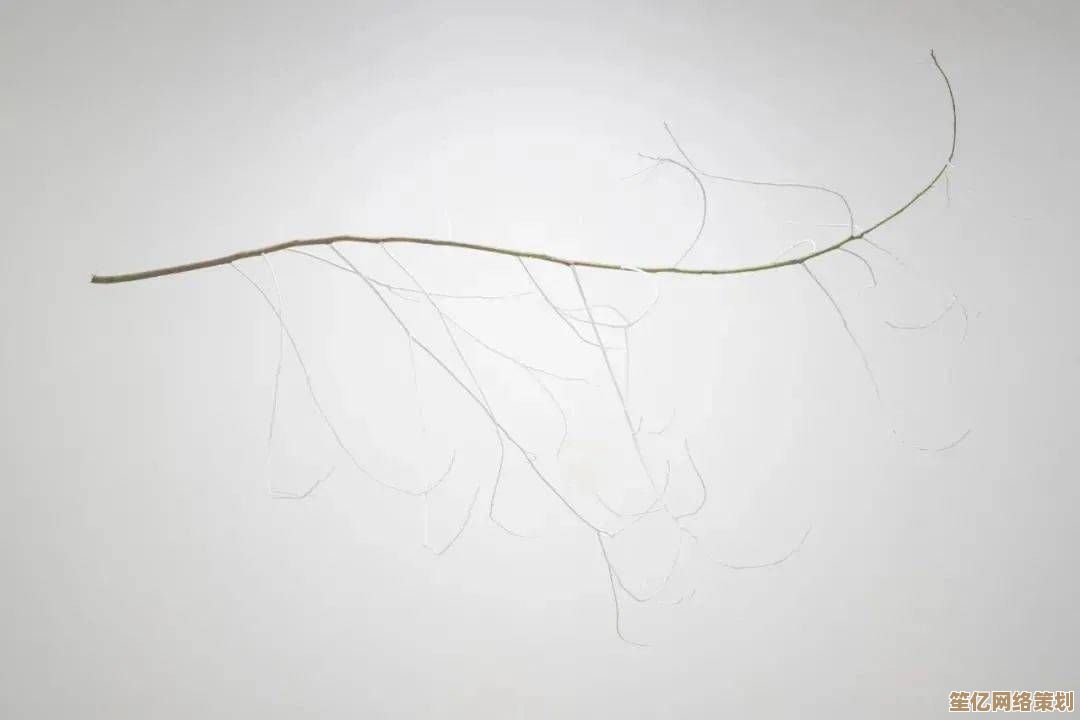 2025决战平安京夏日庆典活动火热上线,快来指定地图参与赢限定皮肤! 2025决战平安京夏日庆典活动火热上线,快来指定地图参与赢限定皮肤!