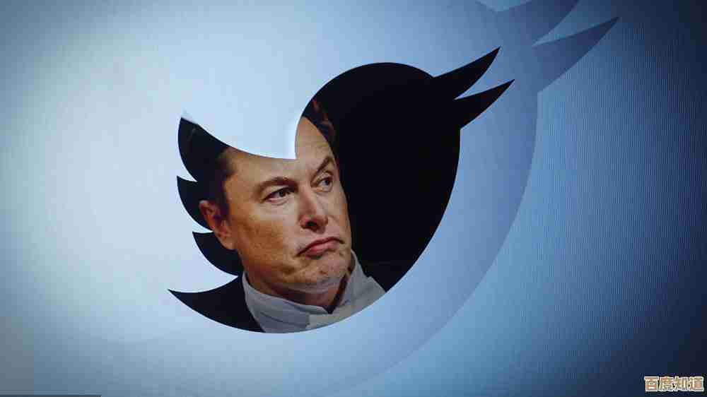 Windows 11系统账户名称修改步骤详解