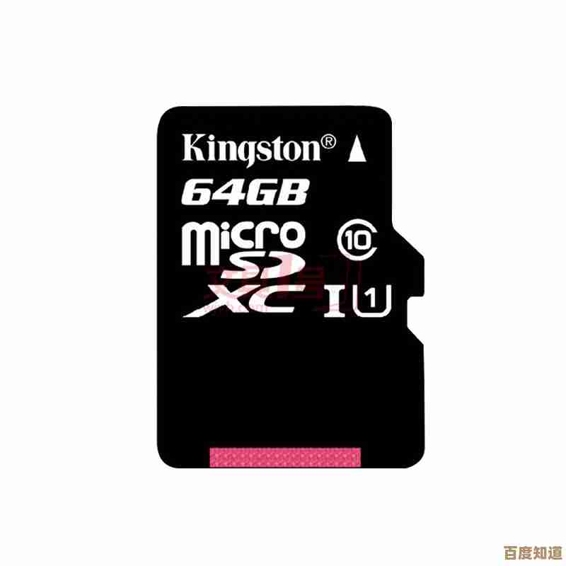 金士顿存储卡：高效传输与海量空间，确保每一份珍贵记忆无忧存储
