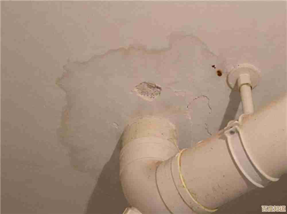 Windows 11网络连接问题排查与解决方法全解析 Windows 11网络连接问题排查与解决方法全解析