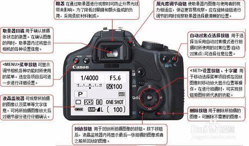 什么是单反？详细解读单反相机的特点及其在摄影领域的应用