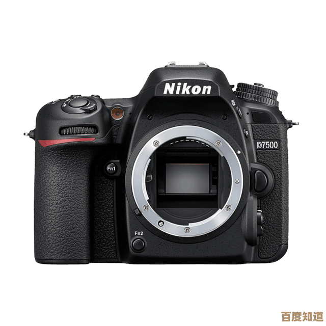 深入了解单反相机:类型特点及选购指南 深入了解单反相机:类型特点及选购指南