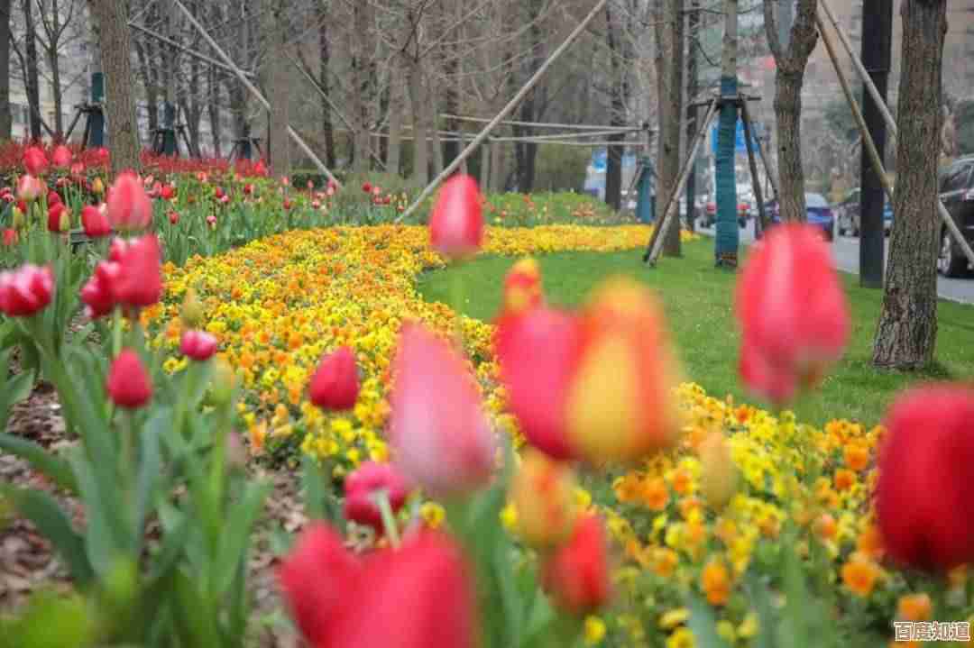绝区零死路直通车攻略,实战走位与踩坑心得随手写 绝区零死路直通车攻略,实战走位与踩坑心得随手写