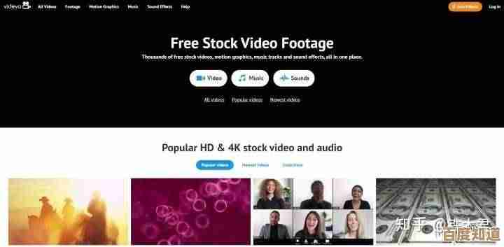 轻松获取网页视频资源：实用方法与工具全解析