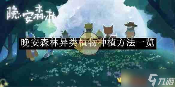 晚安森林兑换码怎么用—简略步骤和常见坑你先看