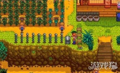 玩星露谷物语想存硬木，有没有那种老刷得多的角落