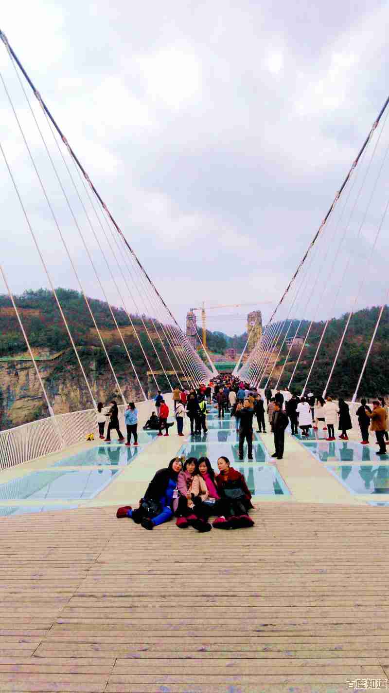 摄影装备天梯全览：从入门到专业的相机选购宝典