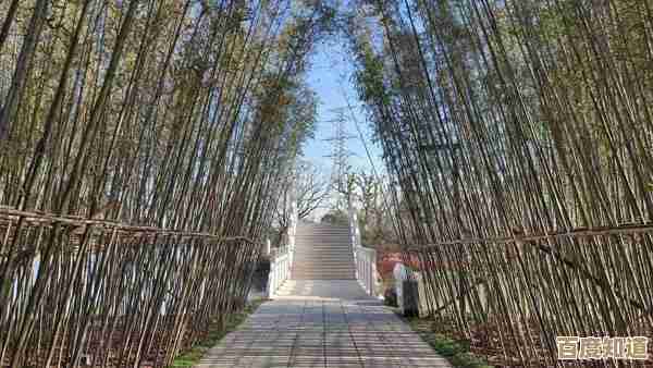 手机照片误删别慌张，专业数据恢复指南助您轻松找回珍贵瞬间