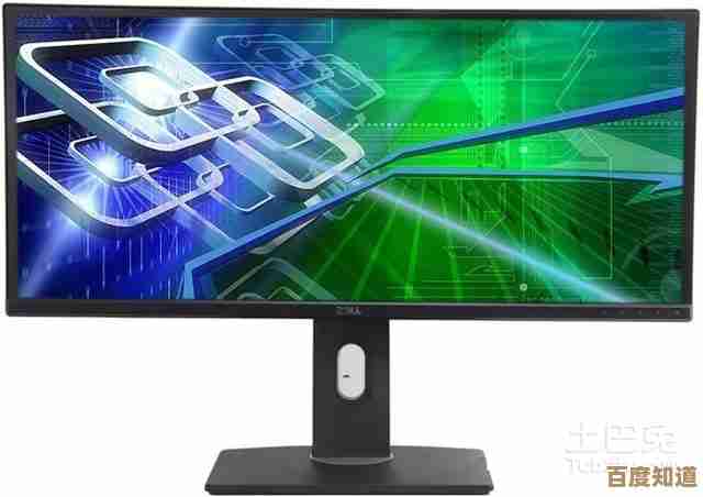 感受细腻画质：戴尔显示器，升级你的视觉享受与工作效率