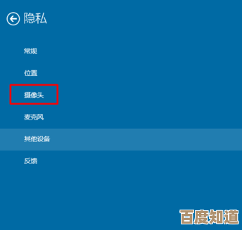 Win11系统摄像头硬件灯亮但无法调用的问题分析与解决 Win11系统摄像头硬件灯亮但无法调用的问题分析与解决