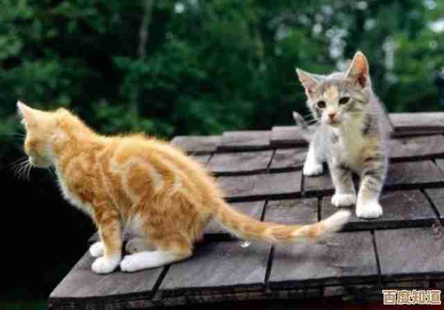 天国拯救2公猫大师逃课打法技巧分享，学会这几招就能躲老师啦