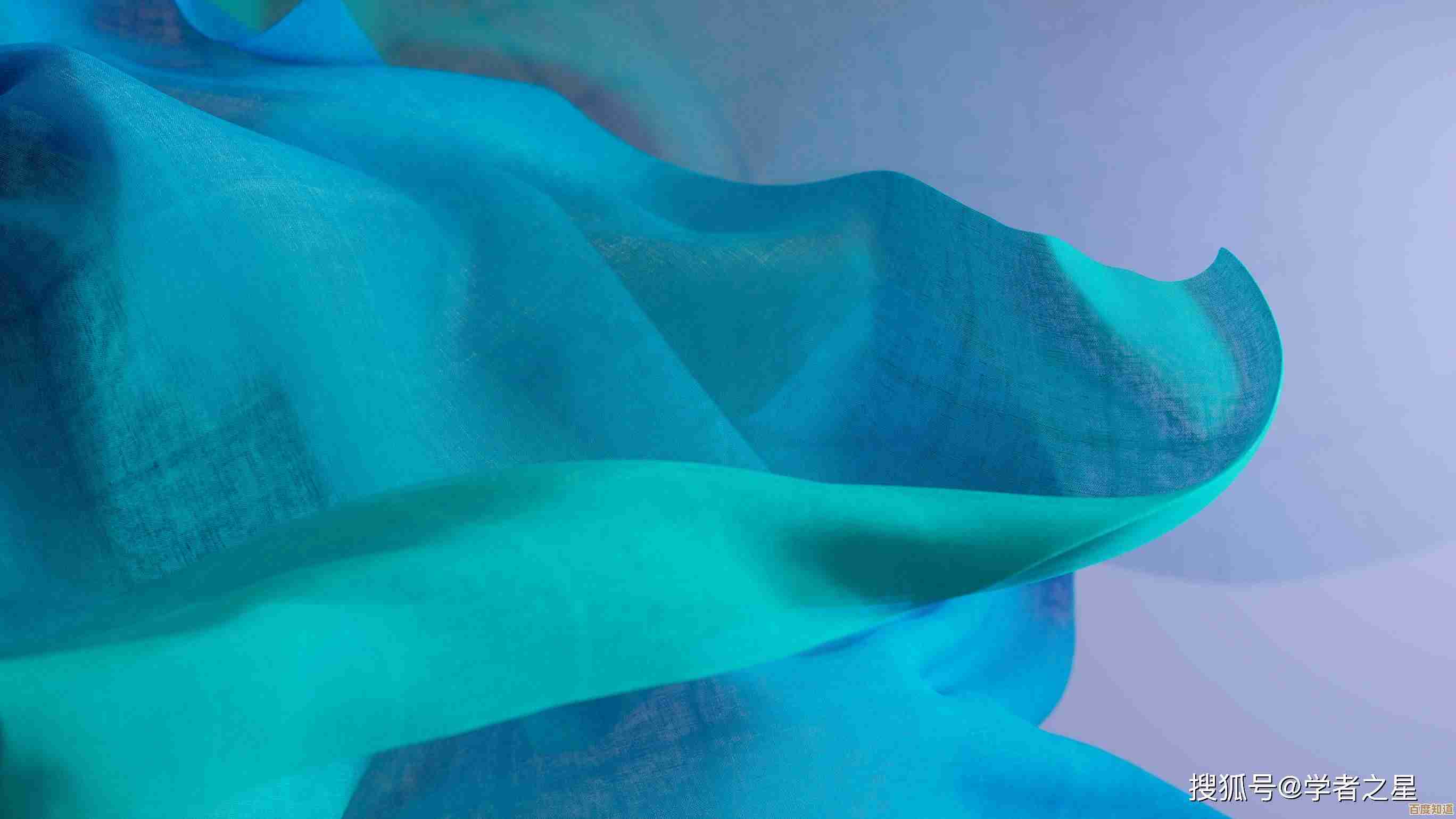 沉浸Win11壁纸定制体验，打造专属桌面的艺术之旅