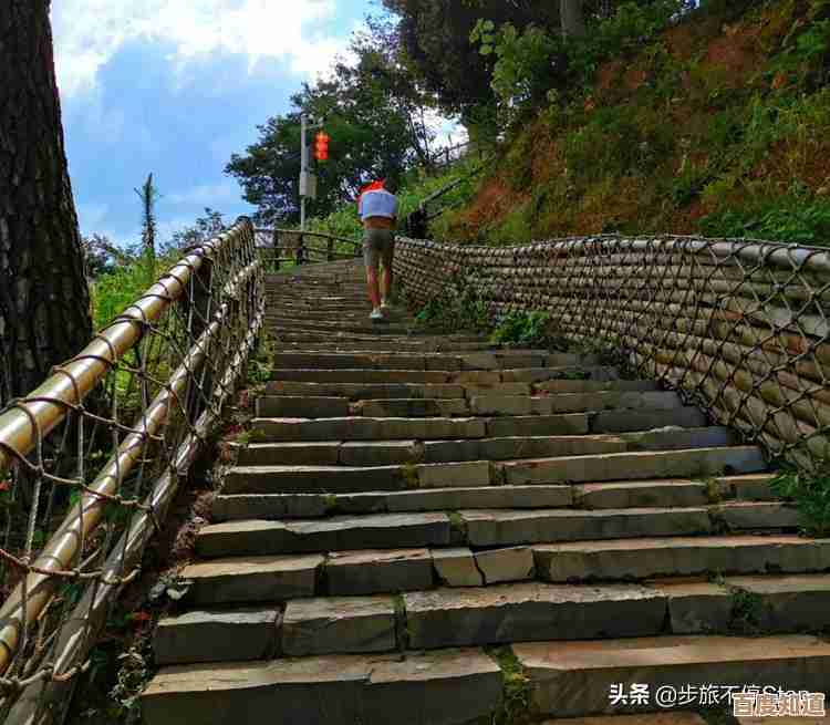 最新手机CPU性能天梯图发布，2020年8月各型号处理器排名一网打尽
