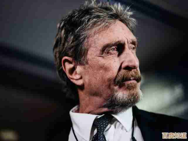 Windows11平台迈克菲杀毒软件实测：功能详解与操作体验全记录