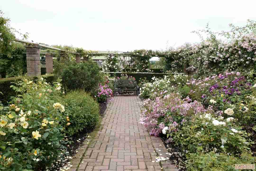 解决Windows无法访问指定设备路径或文件的实用方法指南 解决Windows无法访问指定设备路径或文件的实用方法指南