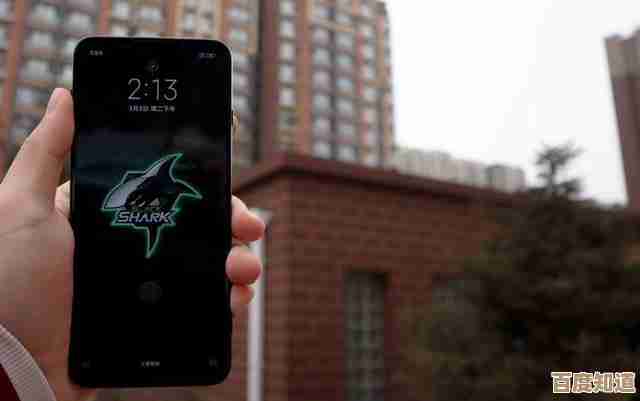 黑鲨手机革新游戏体验：强劲性能与沉浸操控的完美结合，突破极限