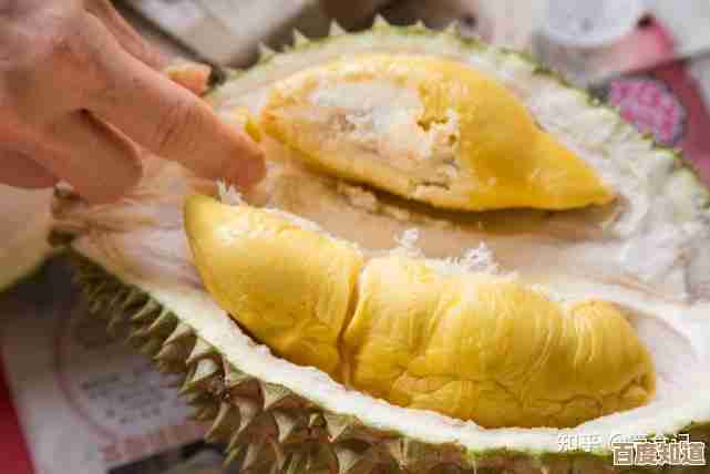 别光看榴莲果皮发黄—细说成熟度判断，颜色、声音、气味哪个更靠谱