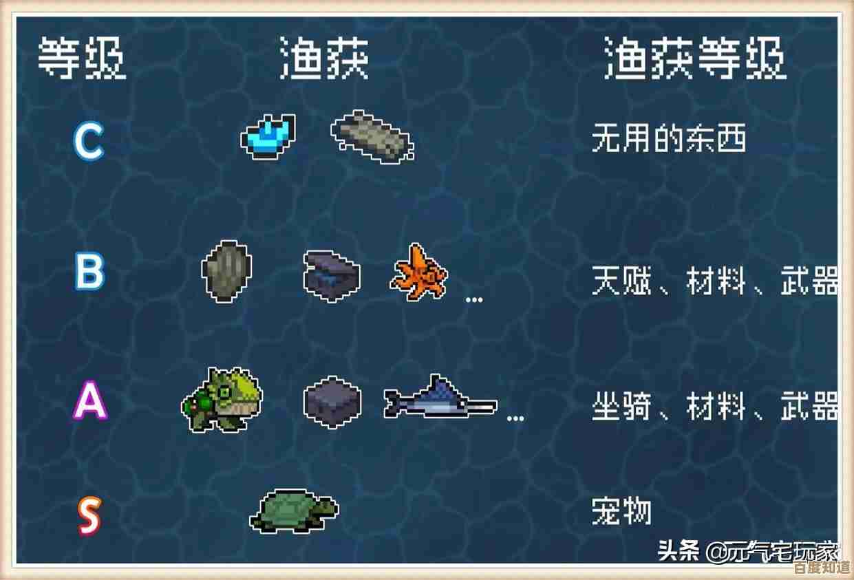 听说dnf宠物的影子只有特殊版本有，我还想弄一只来看看