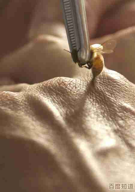 学极玉蜂针别只看招式,里头那些细节和连招,实操感觉要记牢吧 学极玉蜂针别只看招式,里头那些细节和连招,实操感觉要记牢吧