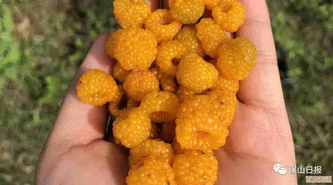 童年趣味游戏大集合—记不全也要踩点回忆