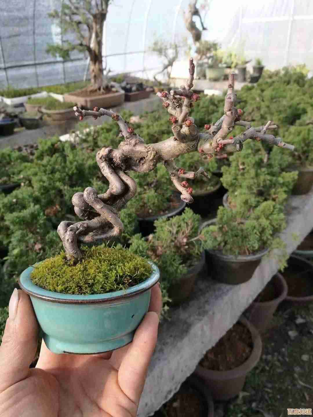 有没有人知道好玩的多人联机小游戏，短局又能带感的那几款随便推荐不完