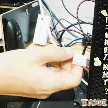 无线网卡安装与优化全攻略：一步步教你稳定连接网络