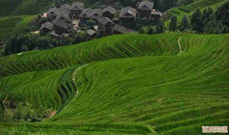 掌握联想处理器性能排行：解读天梯图的关键步骤与技巧