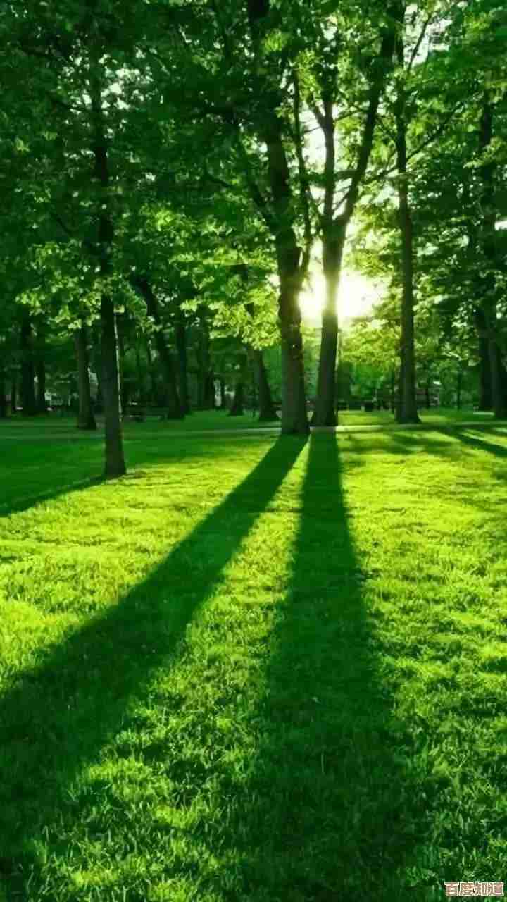 打造专属微信聊天背景的详细图文教程指南