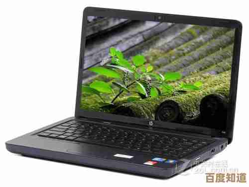 深度剖析惠普电脑主流型号性能特点，帮您找到最适合的办公与娱乐伴侣