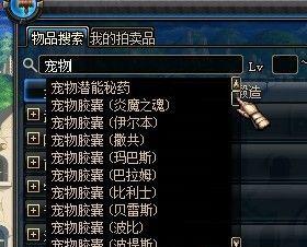 dnf宠物哪个加属性比较香,选哪个不那么纠结 dnf宠物哪个加属性比较香,选哪个不那么纠结