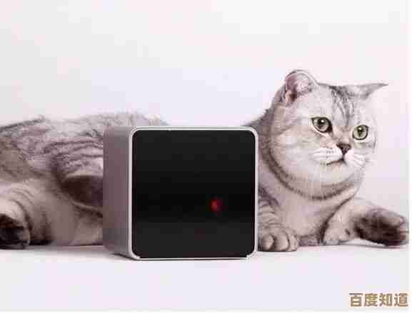 猫与路由器的奇妙融合：宠物科技带来的智能生活新体验