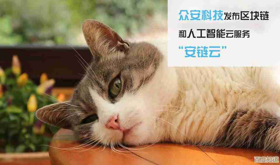 《晚安森林》猫酱好感度提升，这些小技巧你得知道…