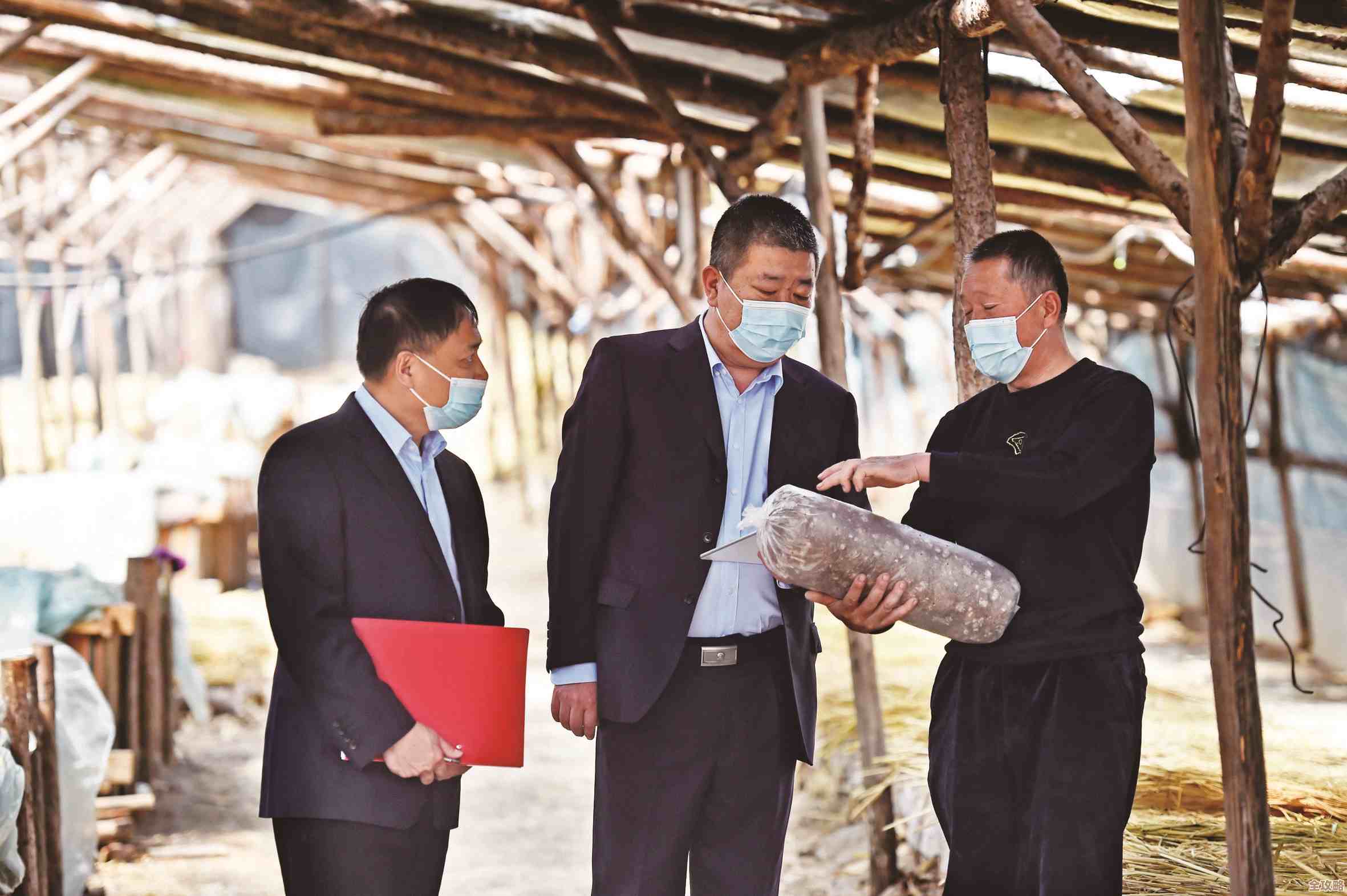 深耕乡村金融服务,山东农信助力农民增收与农村经济繁荣 深耕乡村金融服务,山东农信助力农民增收与农村经济繁荣