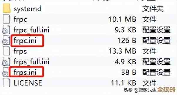 全面了解服务器搭建与维护：从零开始的详细入门指南