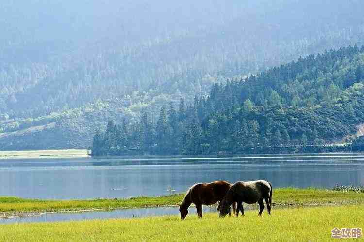 手机拍月亮全攻略:优化参数设置,让你的月景照片更加出色动人 手机拍月亮全攻略:优化参数设置,让你的月景照片更加出色动人