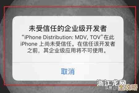 如何有效处理未获信任的企业开发者权限问题