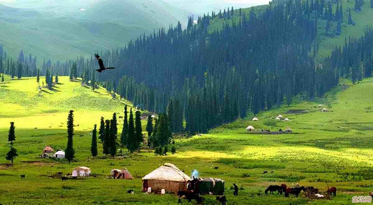 沉浸于绚丽色彩与自然美景，让电脑桌面壁纸点亮你的日常灵感