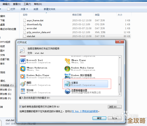 dat文件打开方式全解析：多种实用工具推荐