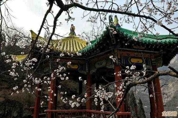 蓓蕾初绽设计图怎么搞，零氪玩家也能摸到的方法这里