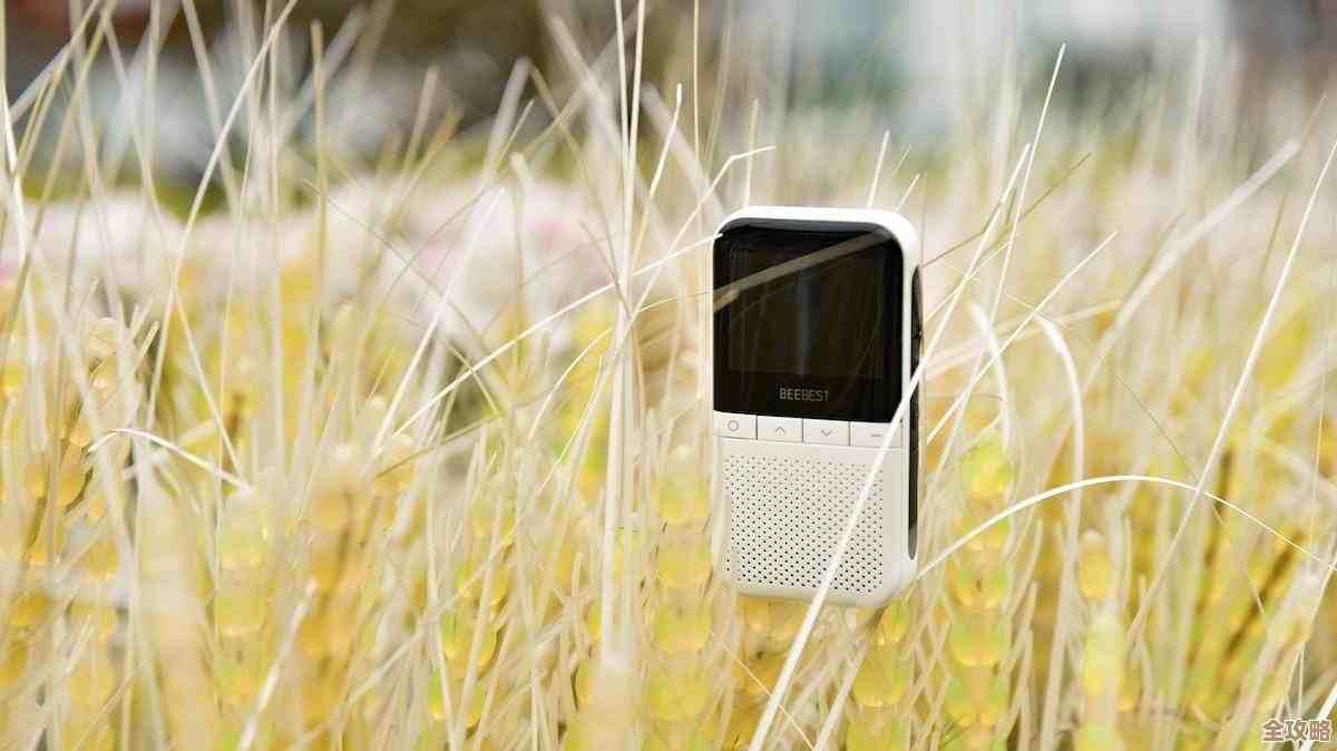 借助GPS导航软件，开启智能出行新时代，精准指引、省时便捷