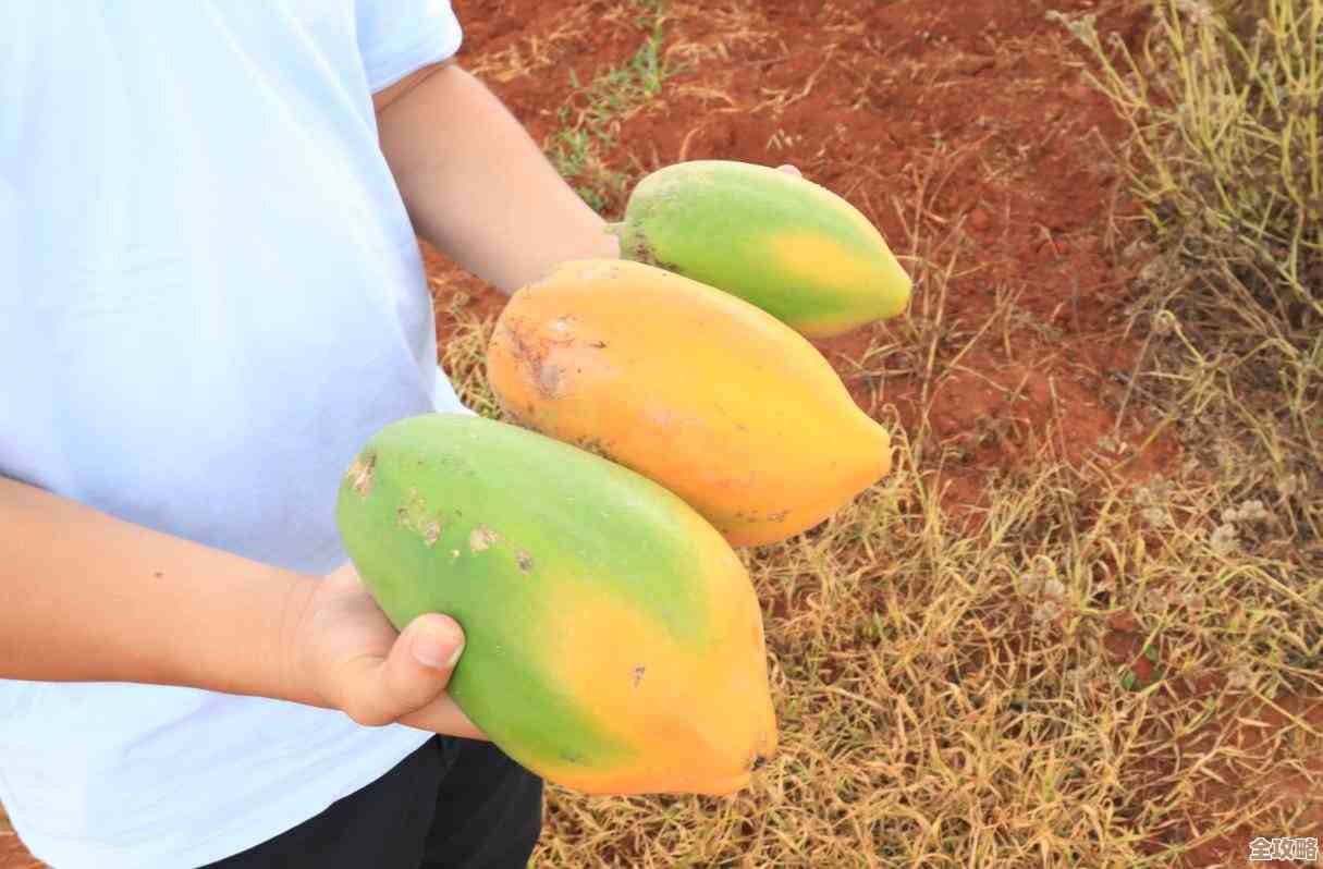 红心游戏大厅：探索精彩游戏世界，尽享欢乐时光！