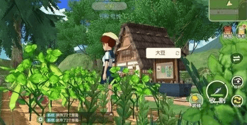小森生活里农田怎么增加，听说靠扩建还是要材料…有人实测吗