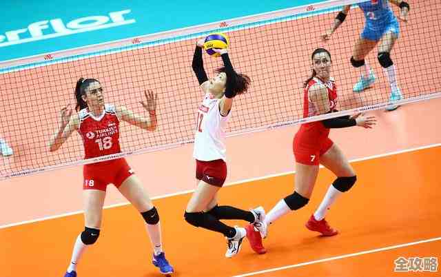 想知道都有哪些热门的排球游戏…小排球、多人对战都有