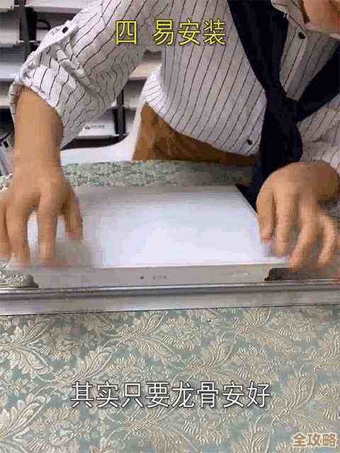 全面了解电脑系统必备软件，小鱼教您快速安装与实用技巧