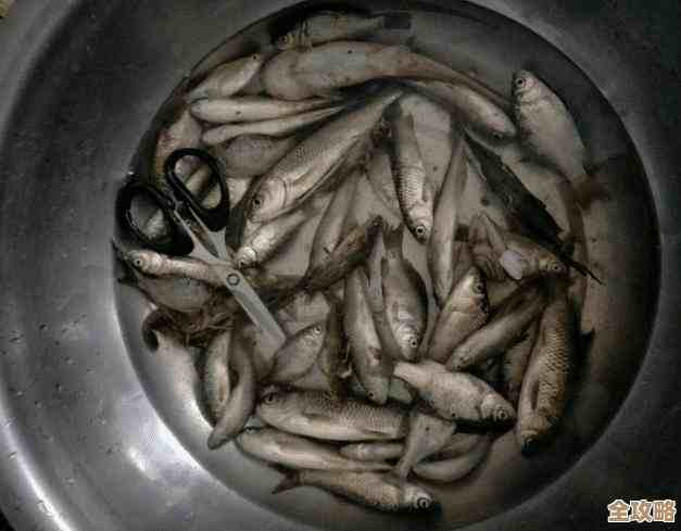 小鱼教您轻松进入路由器设置界面，详细步骤一网打尽