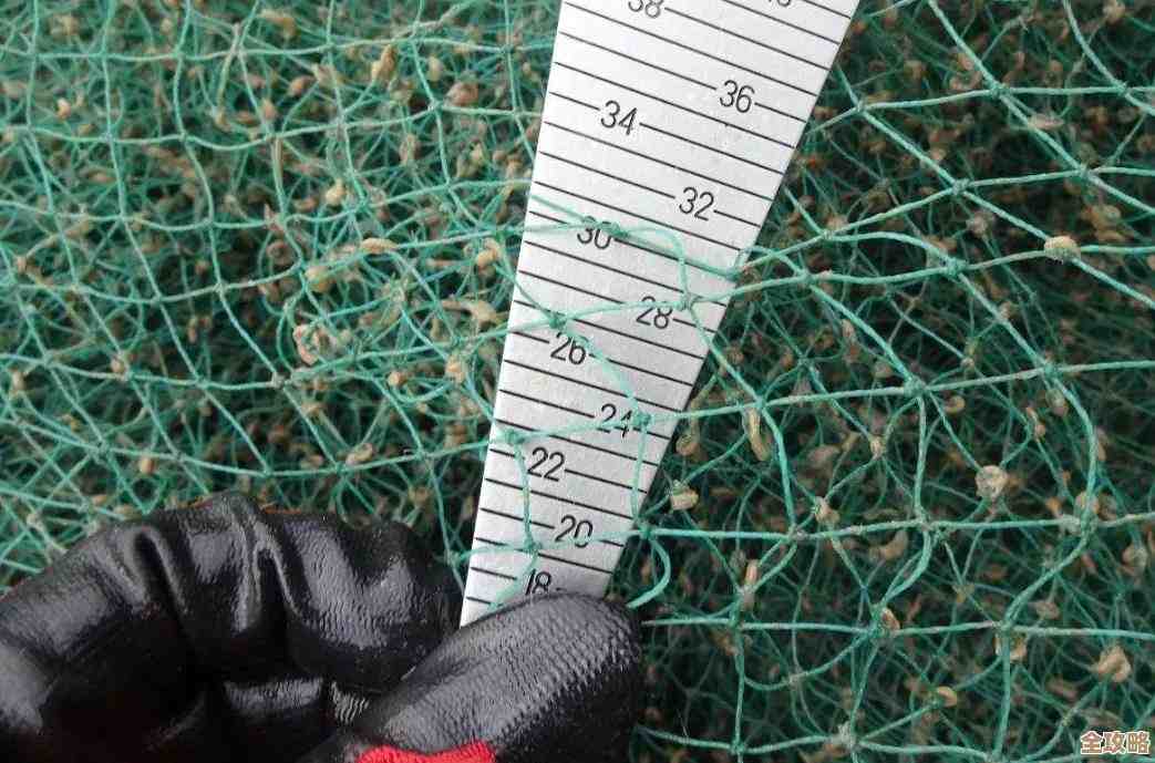 小鱼教您轻松进入路由器设置界面，详细步骤一网打尽