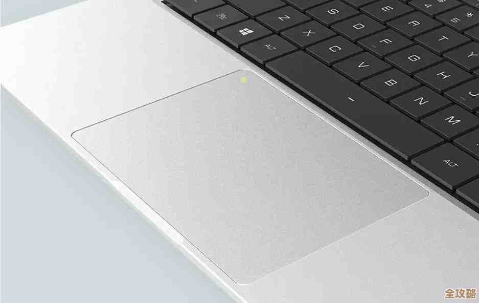掌握Win11触摸板关闭技巧：多种禁用方式完整指南