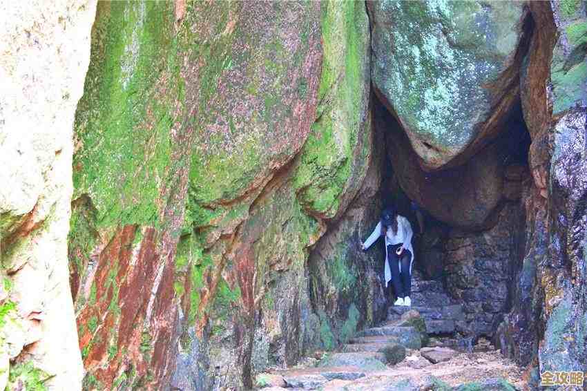 探索苹果相机：将日常风景转化为永恒记忆的创意工具